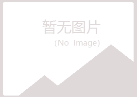 白银平川书蕾能源有限公司